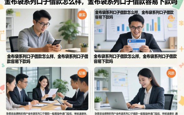 金布袋系列口子借款怎么样，金布袋系列口子借款容易下款吗