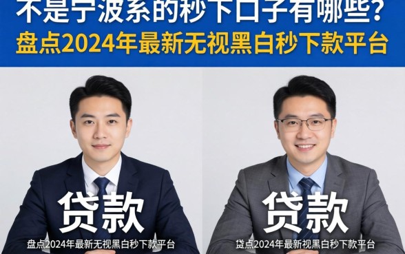 不是宁波系的秒下口子有哪些？盘点2024年最新无视黑白秒下款平台