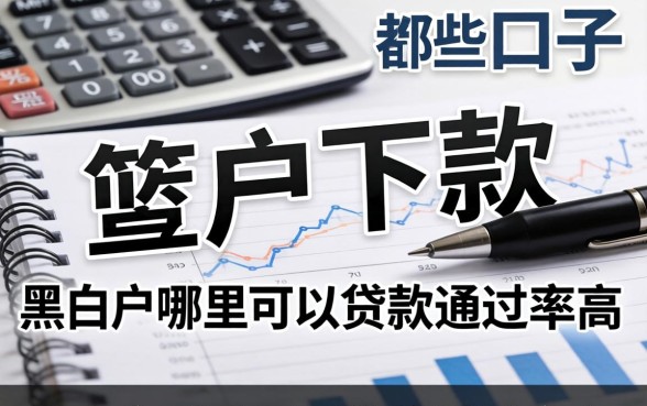 黑白户下款的口子有哪些,黑白户哪里可以贷款通过率高 黑白户哪里可以贷款通过率高