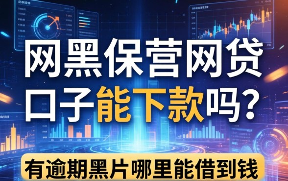 网黑保单网贷口子能下款吗？有逾期黑户哪里能借到钱