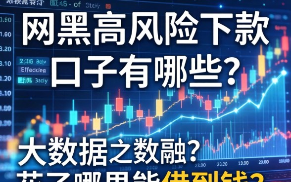 网黑高风险下款的口子有哪些？大数据花了哪里能借到钱？