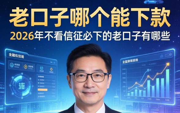 老口子哪个能下款，2026年不看征信必下的老口子有哪些