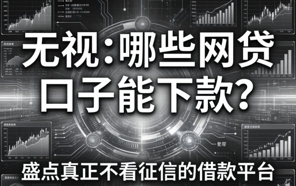 无视黑白哪些网贷口子能下款