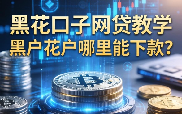 黑花口子网贷教学，黑户花户哪里能下款？