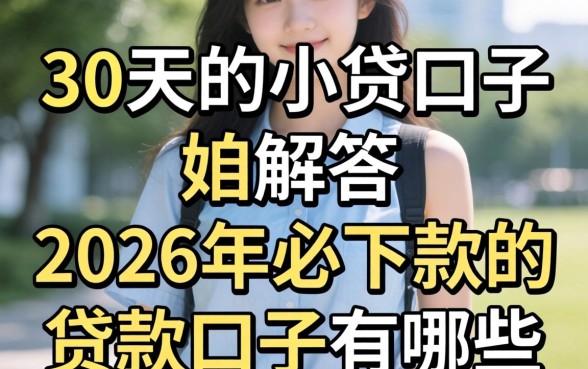 2026年必下款的贷款口子有哪些
