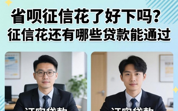 征信花还有哪些贷款能通过