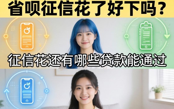 征信花还有哪些贷款能通过