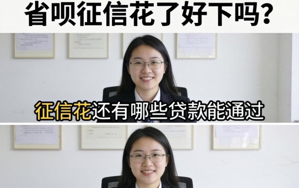 征信花还有哪些贷款能通过