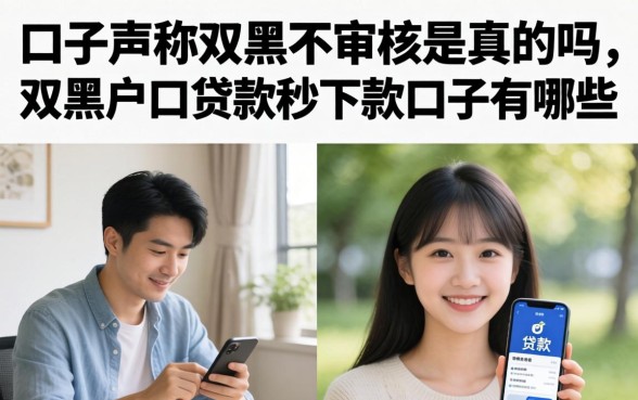 双黑户口贷款秒下款口子有哪些