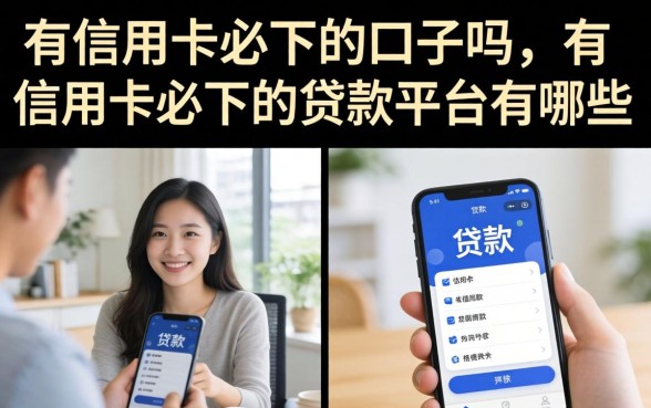 有信用卡必下的贷款平台有哪些
