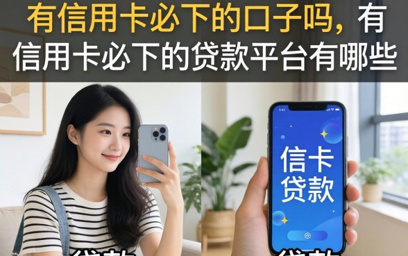 有信用卡必下的贷款平台有哪些