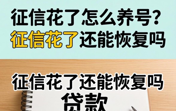 征信花了怎么养号？征信花了还能恢复吗