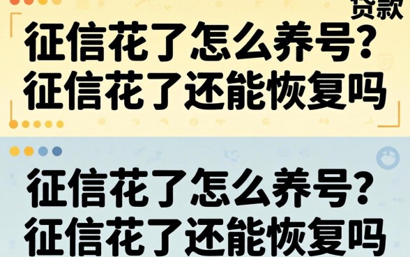 征信花了怎么养号?征信花了还能恢复吗 征信花了还能恢复吗
