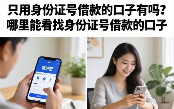 哪里能找到身份证号借款的口子