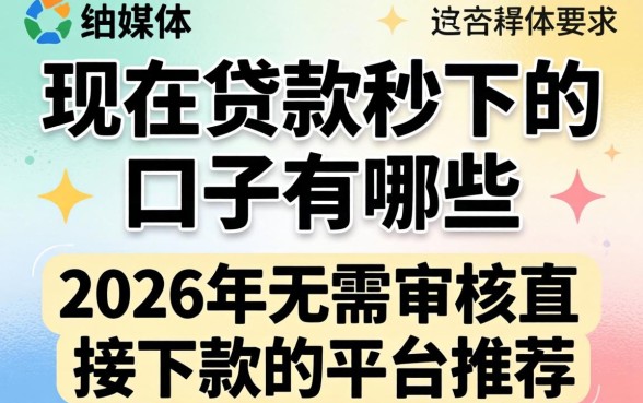 2026年无需审核直接下款的平台推荐