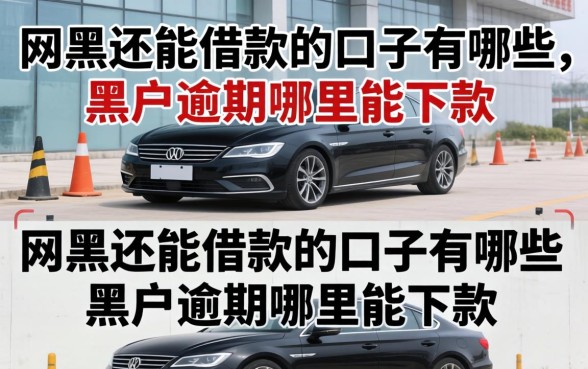 网黑还能借款的口子有哪些,黑户逾期哪里能下款 网黑还能借款的口子有哪些