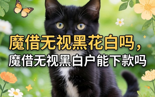 魔借无视黑白户能下款吗