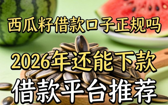 西瓜籽借款口子正规吗,2026年还能下款的借款平台推荐 2026年还能下款的借款平台推荐