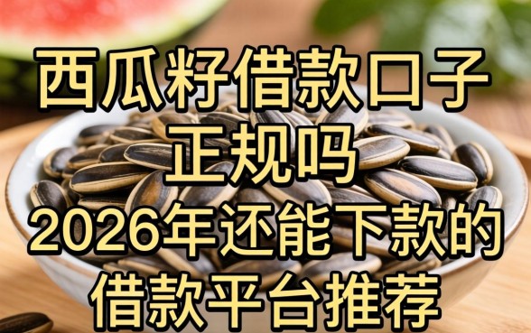 西瓜籽借款口子正规吗,2026年还能下款的借款平台推荐 2026年还能下款的借款平台推荐