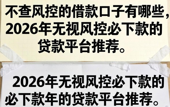 不查风控的借款口子有哪些，2026年无视风控必下款的贷款平台推荐