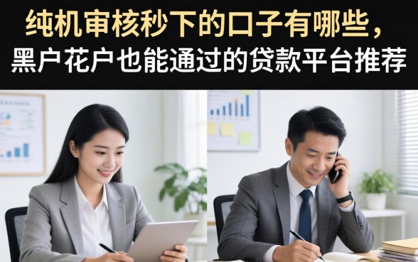 纯机审核秒下的口子有哪些，黑户花户也能通过的贷款平台推荐