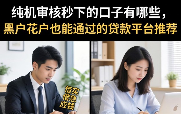 纯机审核秒下的口子有哪些,黑户花户也能通过的贷款平台推荐 黑户花户也能通过的贷款平台推荐