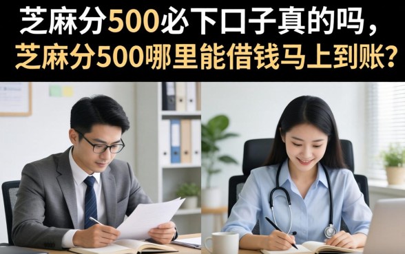 芝麻分500哪里能借钱马上到账