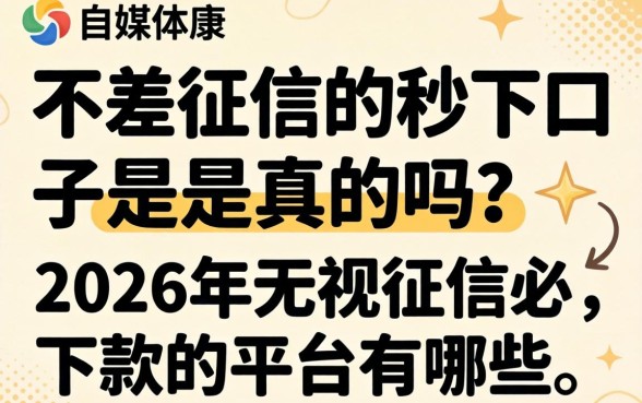 2026年无视征信必下款的平台有哪些