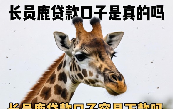 长劲鹿贷款口子是真的吗，长劲鹿贷款口子容易下款吗