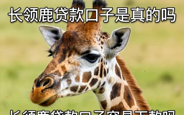 长劲鹿贷款口子容易下款吗