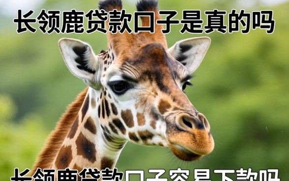 长劲鹿贷款口子容易下款吗