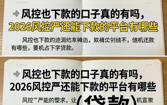 2026风控严还能下款的平台有哪些