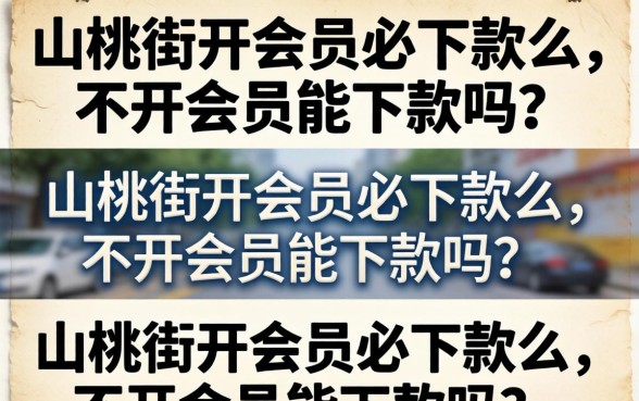 山桃街开会员必下款么，不开会员能下款吗？
