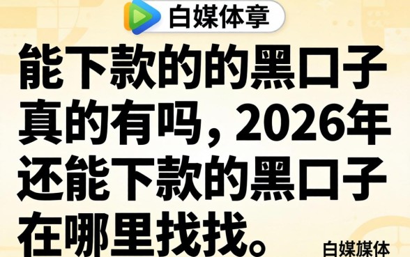 2026年还能下款的黑口子在哪里找