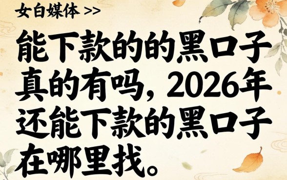 2026年还能下款的黑口子在哪里找