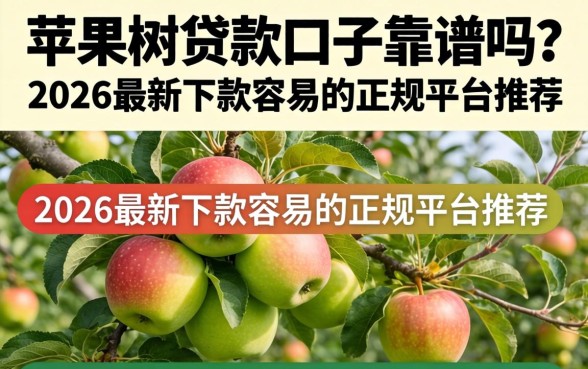 2026最新下款容易的正规平台推荐