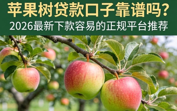 2026最新下款容易的正规平台推荐