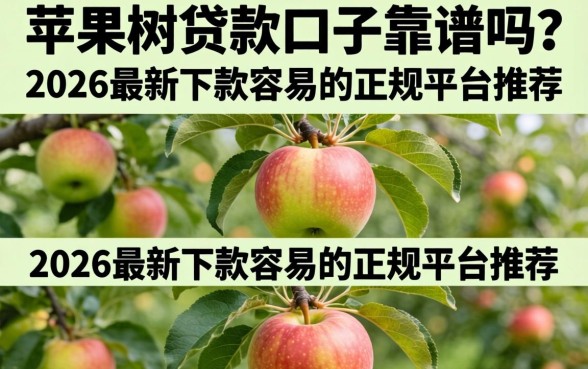 2026最新下款容易的正规平台推荐