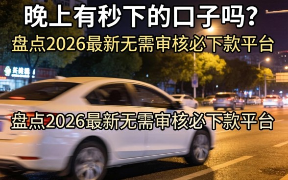 盘点2026最新无需审核必下款平台