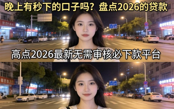 盘点2026最新无需审核必下款平台
