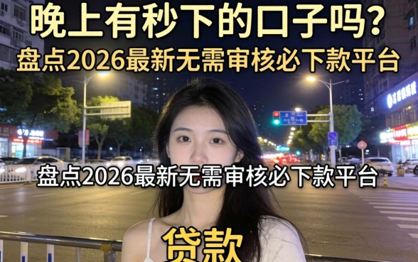 盘点2026最新无需审核必下款平台