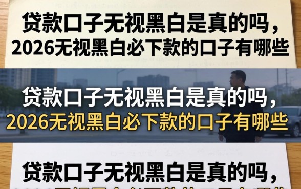2026无视黑白必下款的口子有哪些