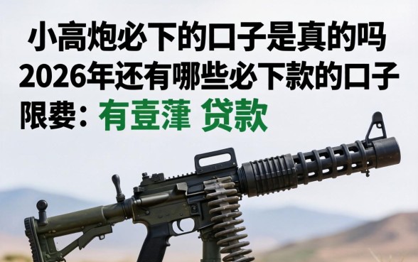 小高炮必下的口子是真的吗,2026年还有哪些必下款的口子 2026年还有哪些必下款的口子