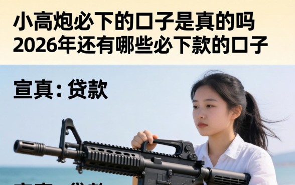 小高炮必下的口子是真的吗,2026年还有哪些必下款的口子 2026年还有哪些必下款的口子