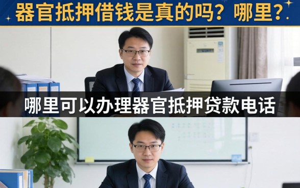哪里可以办理器官抵押贷款电话
