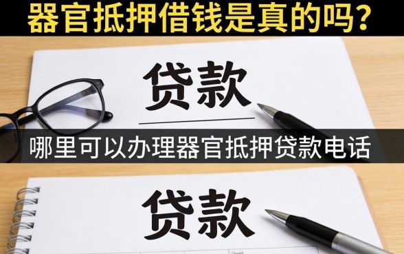 哪里可以办理器官抵押贷款电话