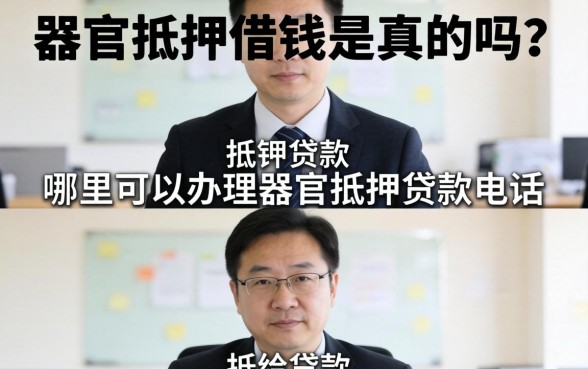 哪里可以办理器官抵押贷款电话