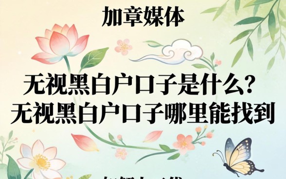 无视黑白户口子哪里能找到
