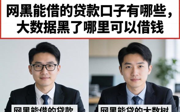 网黑能借的贷款口子有哪些
