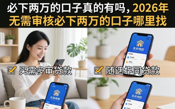 2026年无需审核必下两万的口子哪里找